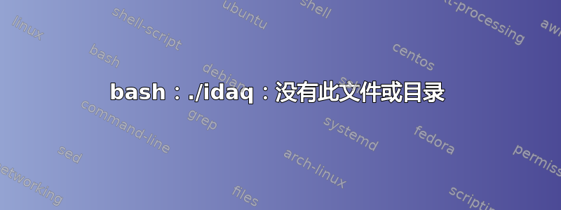 bash：./idaq：没有此文件或目录