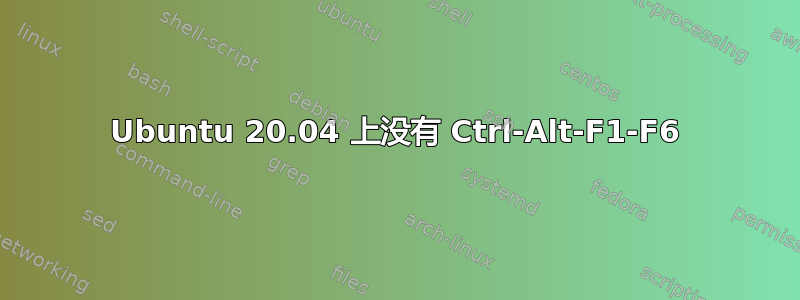 Ubuntu 20.04 上没有 Ctrl-Alt-F1-F6