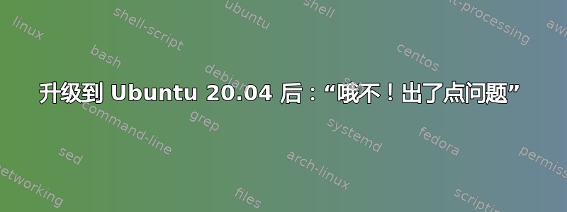 升级到 Ubuntu 20.04 后：“哦不！出了点问题”