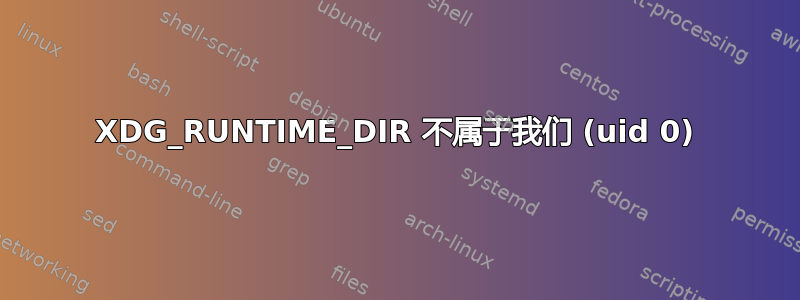 XDG_RUNTIME_DIR 不属于我们 (uid 0)