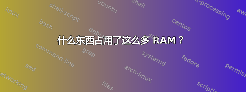 什么东西占用了这么多 RAM？