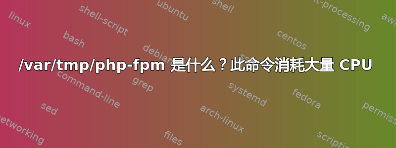 /var/tmp/php-fpm 是什么？此命令消耗大量 CPU