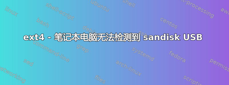 ext4 - 笔记本电脑无法检测到 sandisk USB