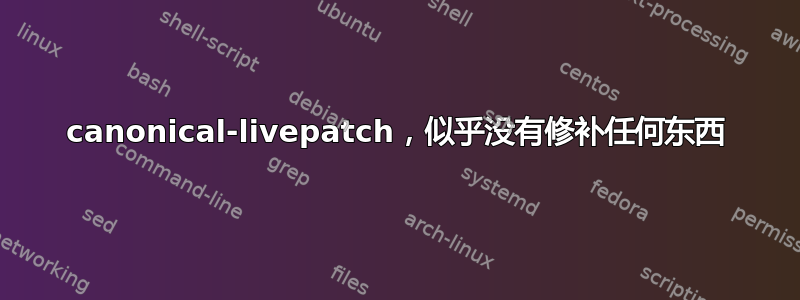 canonical-livepatch，似乎没有修补任何东西