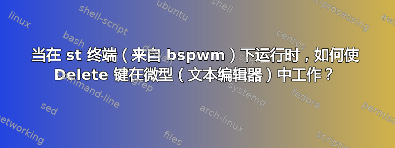 当在 st 终端（来自 bspwm）下运行时，如何使 Delete 键在微型（文本编辑器）中工作？