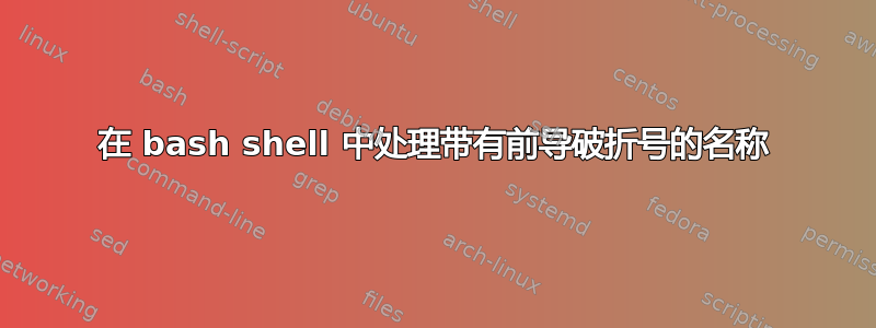 在 bash shell 中处理带有前导破折号的名称