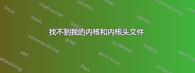 找不到我的内核和内核头文件