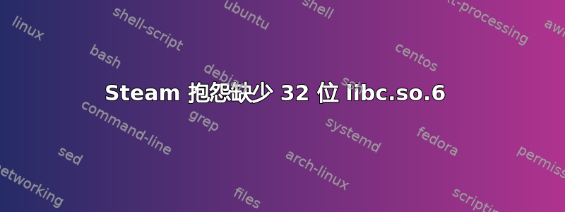 Steam 抱怨缺少 32 位 libc.so.6 