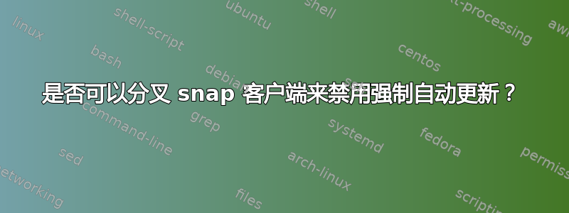 是否可以分叉 snap 客户端来禁用强制自动更新？