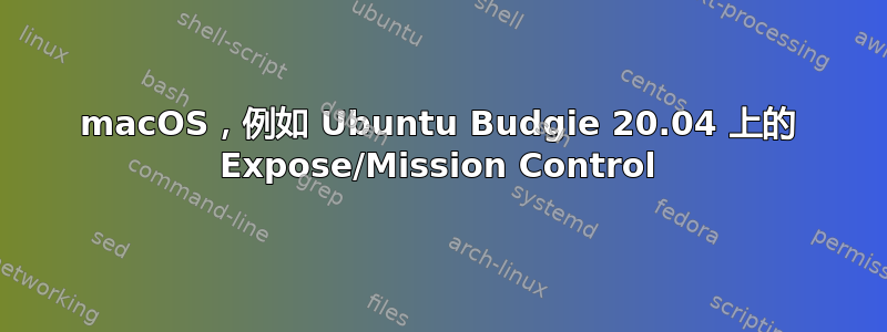 macOS，例如 Ubuntu Budgie 20.04 上的 Expose/Mission Control