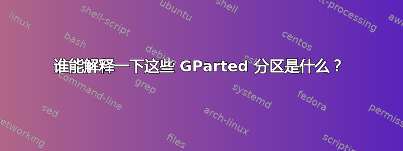 谁能解释一下这些 GParted 分区是什么？