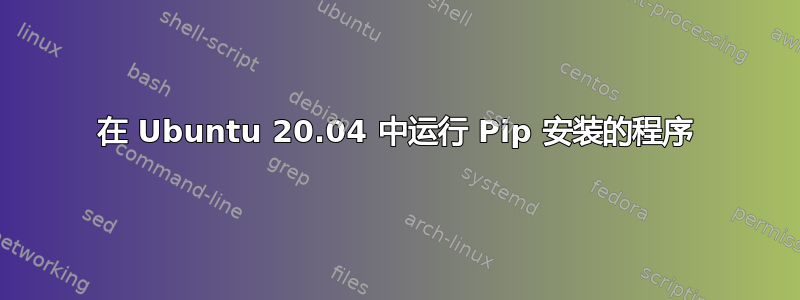 在 Ubuntu 20.04 中运行 Pip 安装的程序