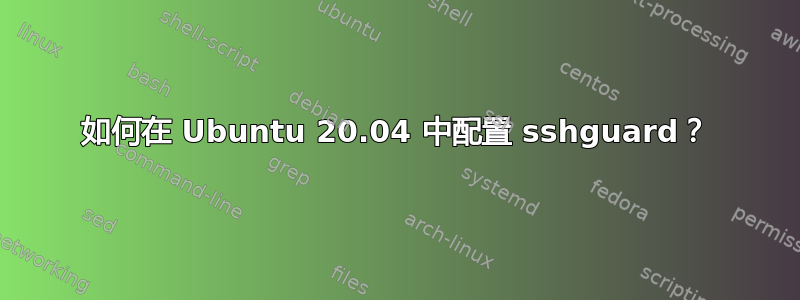 如何在 Ubuntu 20.04 中配置 sshguard？