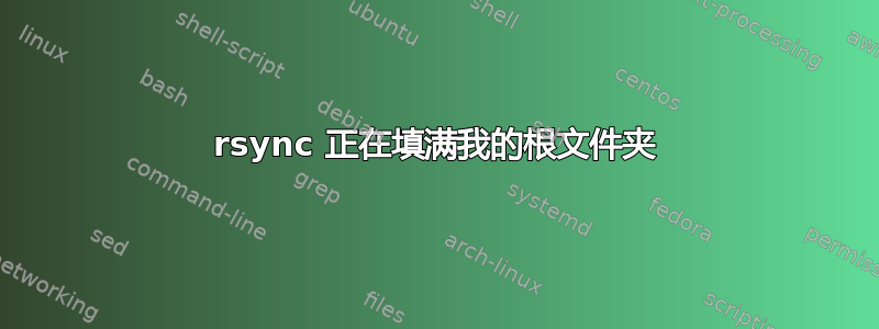 rsync 正在填满我的根文件夹