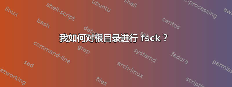 我如何对根目录进行 fsck？