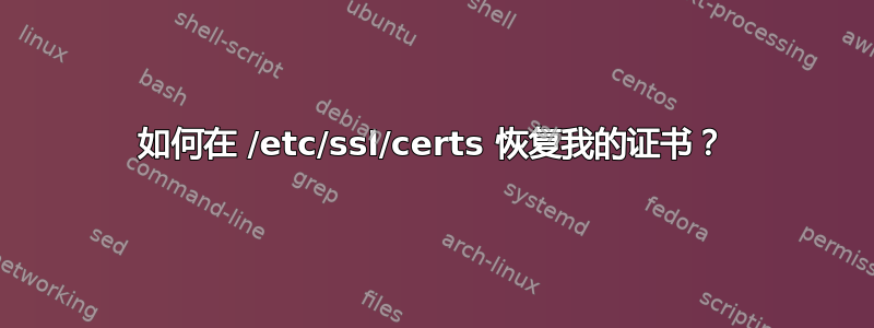 如何在 /etc/ssl/certs 恢复我的证书？