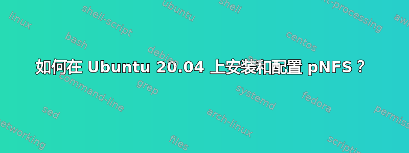 如何在 Ubuntu 20.04 上安装和配置 pNFS？