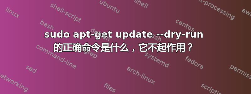 sudo apt-get update --dry-run 的正确命令是什么，它不起作用？