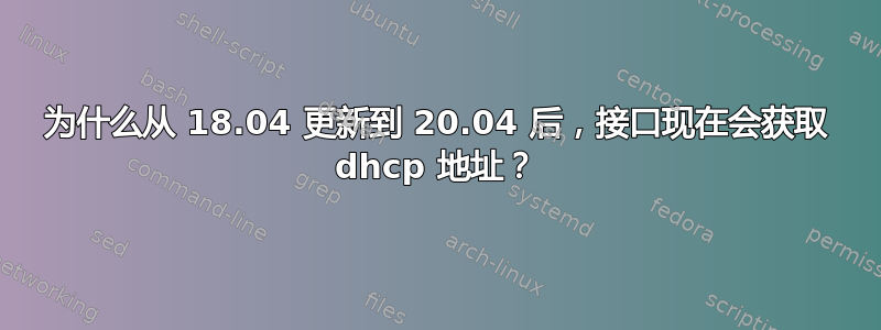 为什么从 18.04 更新到 20.04 后，接口现在会获取 dhcp 地址？