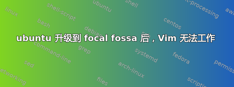 ubuntu 升级到 focal fossa 后，Vim 无法工作