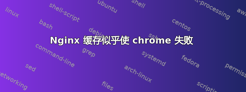 Nginx 缓存似乎使 chrome 失败