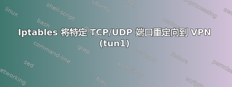 Iptables 将特定 TCP/UDP 端口重定向到 VPN (tun1)