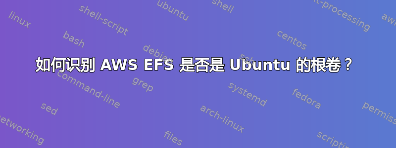 如何识别 AWS EFS 是否是 Ubuntu 的根卷？