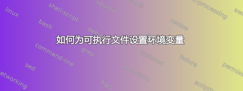 如何为可执行文件设置环境变量