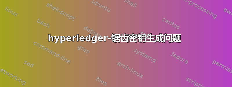 hyperledger-锯齿密钥生成问题