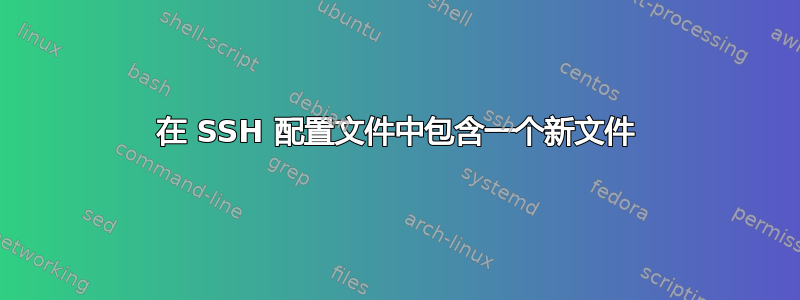 在 SSH 配置文件中包含一个新文件