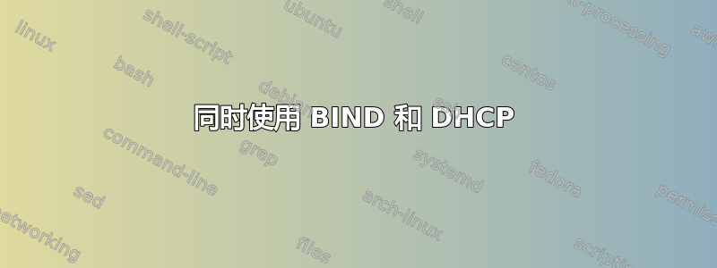 同时使用 BIND 和 DHCP