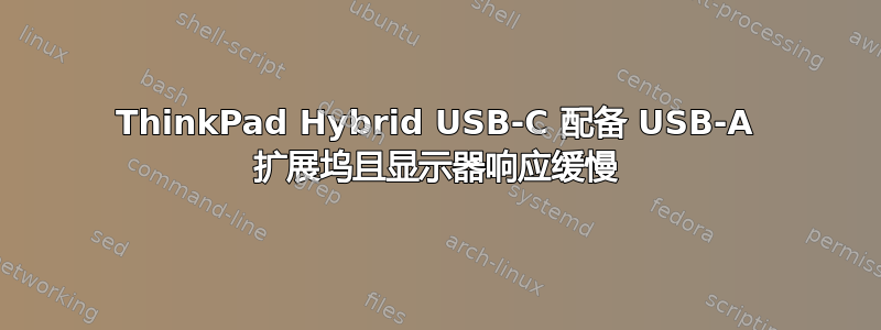 ThinkPad Hybrid USB-C 配备 USB-A 扩展坞且显示器响应缓慢