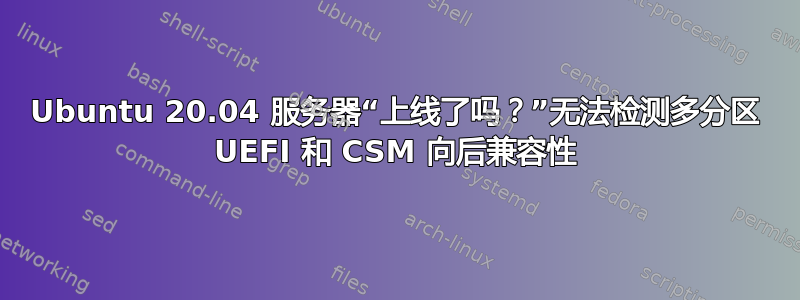 Ubuntu 20.04 服务器“上线了吗？”无法检测多分区 UEFI 和 CSM 向后兼容性