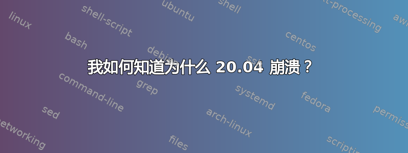 我如何知道为什么 20.04 崩溃？