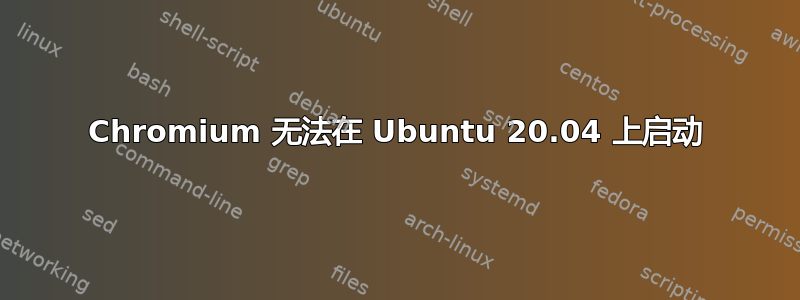 Chromium 无法在 Ubuntu 20.04 上启动