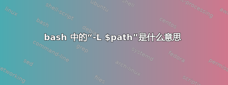 bash 中的“-L $path”是什么意思