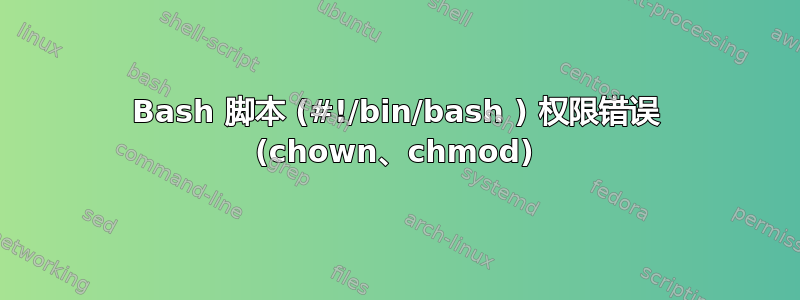 Bash 脚本 (#!/bin/bash ) 权限错误 (chown、chmod)