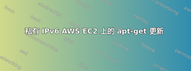 私有 IPv6 AWS EC2 上的 apt-get 更新