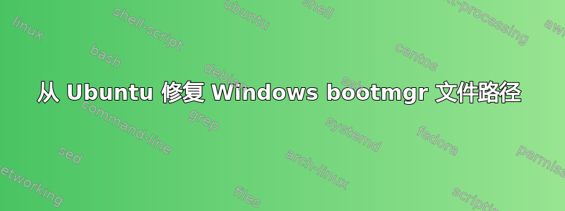 从 Ubuntu 修复 Windows bootmgr 文件路径