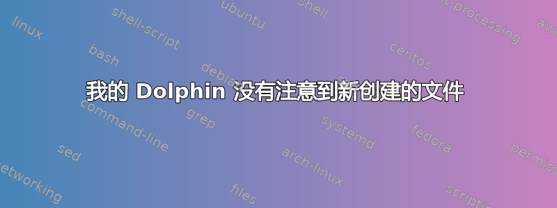 我的 Dolphin 没有注意到新创建的文件