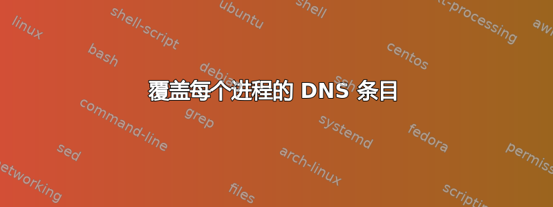 覆盖每个进程的 DNS 条目