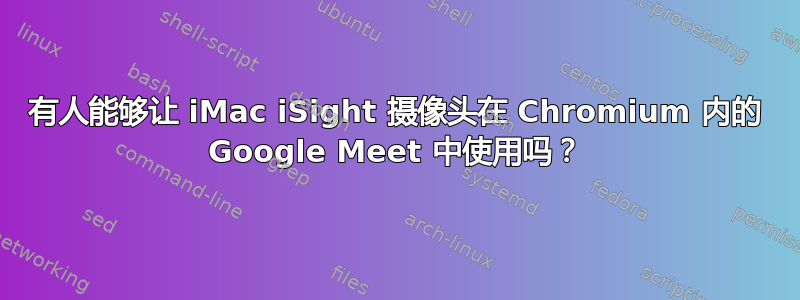 有人能够让 iMac iSight 摄像头在 Chromium 内的 Google Meet 中使用吗？