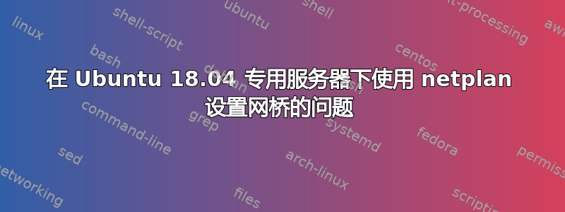 在 Ubuntu 18.04 专用服务器下使用 netplan 设置网桥的问题