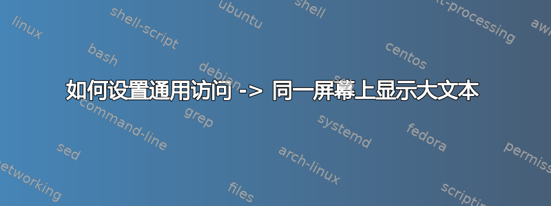 如何设置通用访问 -> 同一屏幕上显示大文本