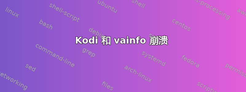 Kodi 和 vainfo 崩溃