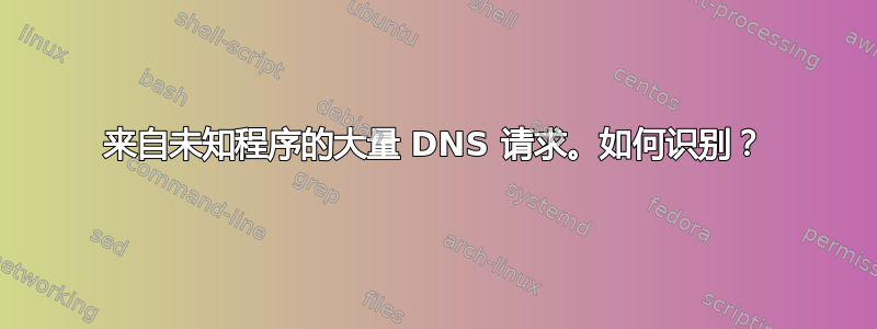 来自未知程序的大量 DNS 请求。如何识别？