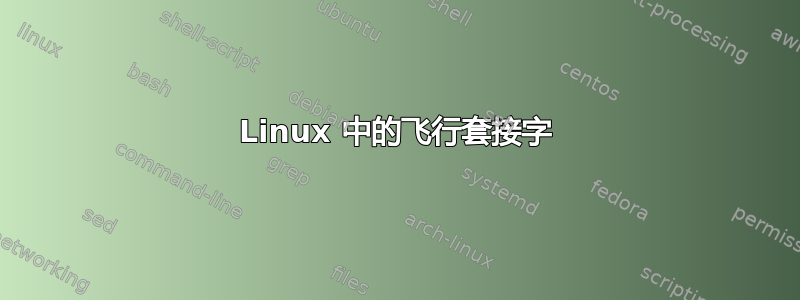 Linux 中的飞行套接字