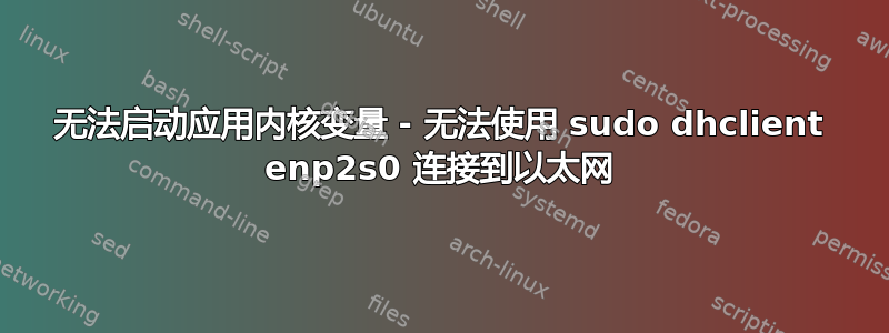 无法启动应用内核变量 - 无法使用 sudo dhclient enp2s0 连接到以太网