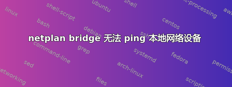 netplan bridge 无法 ping 本地网络设备