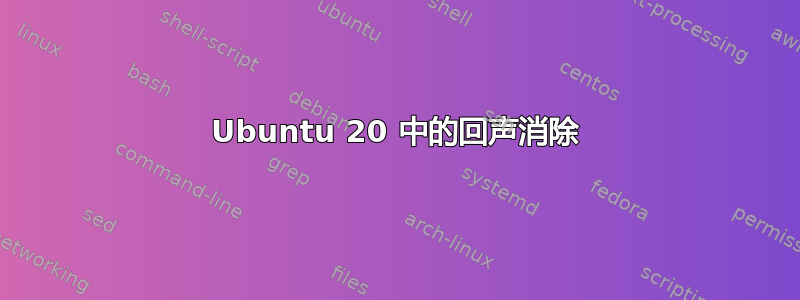 Ubuntu 20 中的回声消除